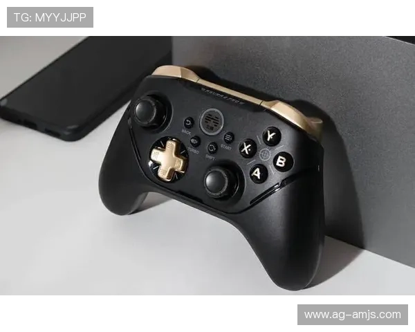 js金沙官网登入手机版安全稳定，便捷快速体验最新游戏玩法推荐