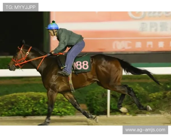 澳门赛马官网直播频道推荐及观看技巧让你不错过每一场激动人心的赛马比赛